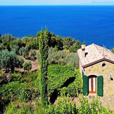 Bellezza In Cilento Panoramic Apts Castellabate Exterior photo