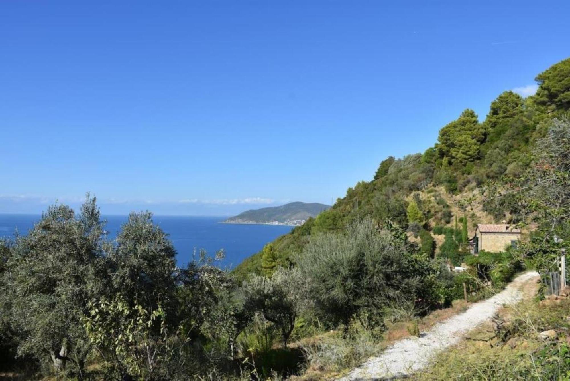 Bellezza In Cilento Panoramic Apts Castellabate Exterior photo